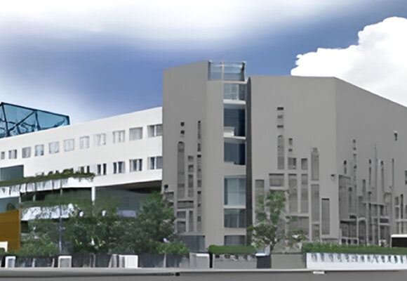 soorty-2-520x360 1